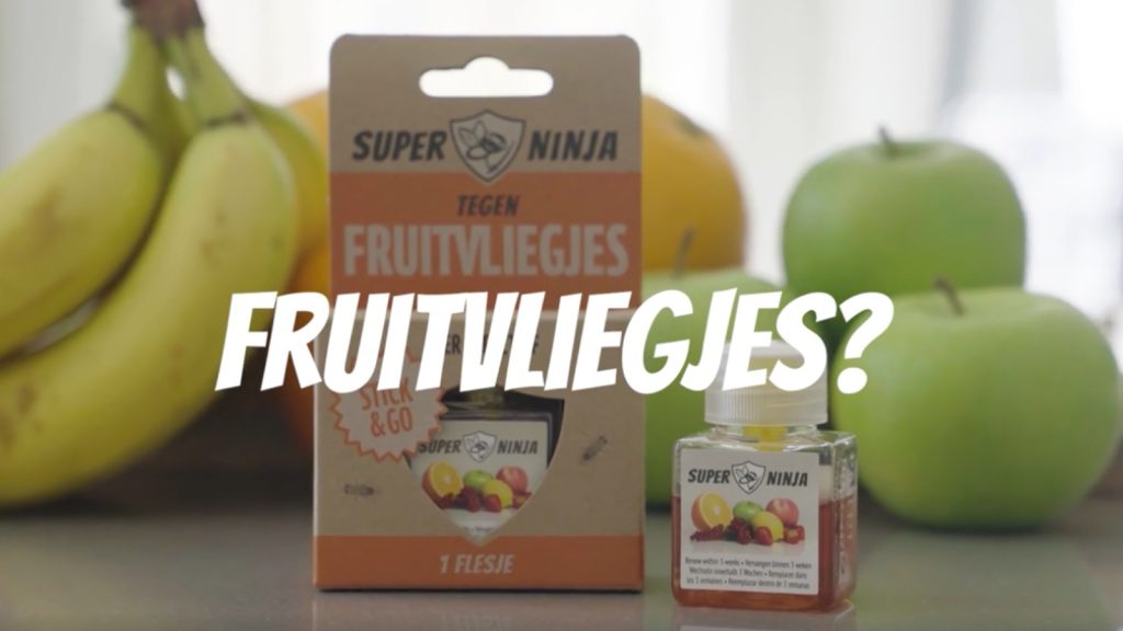 Beste Fruitvliegjes Vanger 2026 2026 - Complete gids
