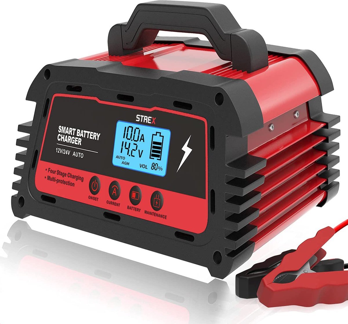 Strex Industriële Acculader 12/24V