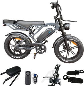 V20 Compleet Fatbike