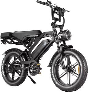 V20 Fatbike