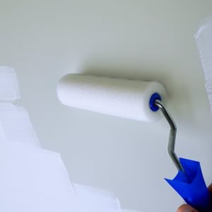 DULA Foam Verfrollers 10,5 cm