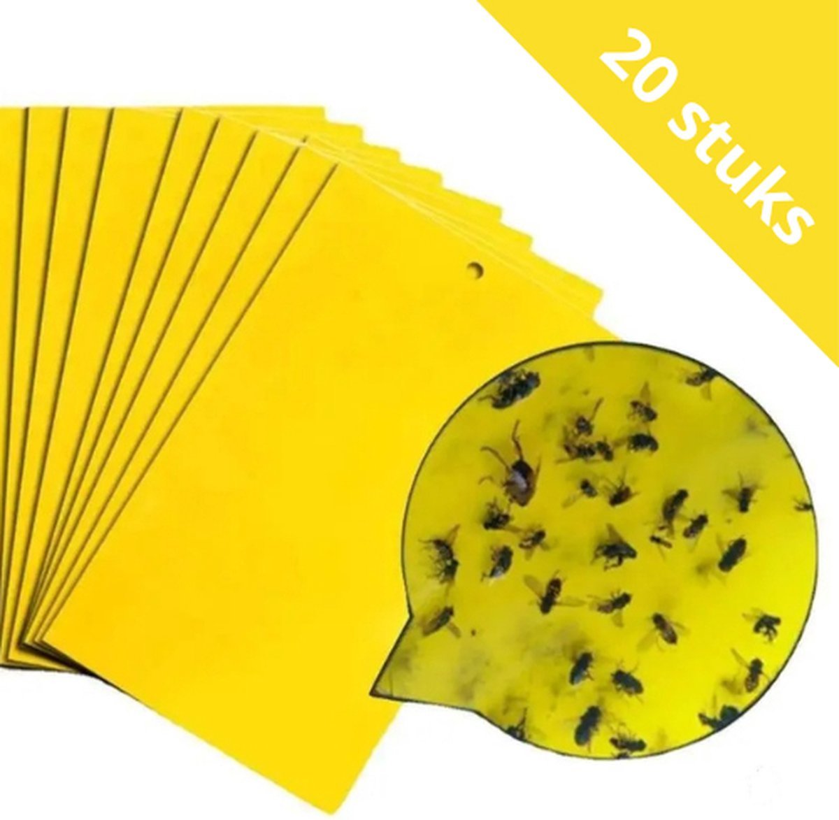 Daily Essentialz Vangplaten 20 stuks fruitvliegjes-vanger