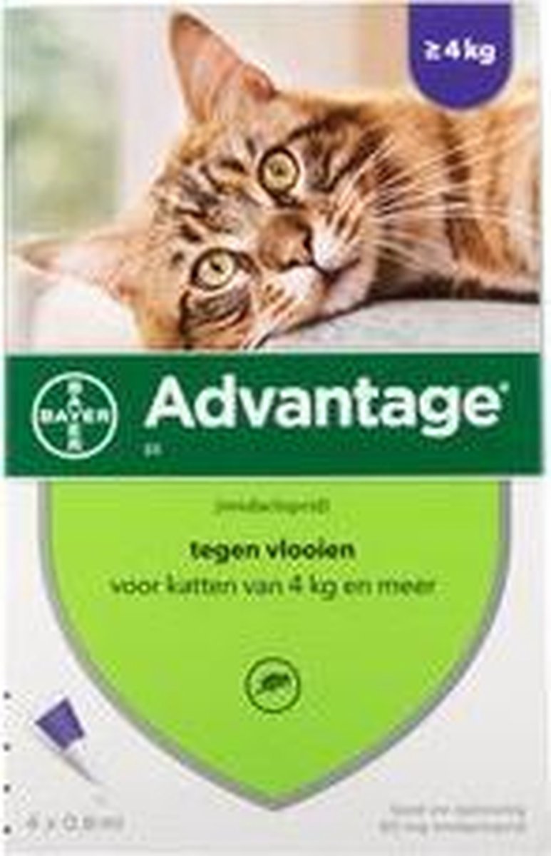 Advantage 80 vlooienmiddel-katten