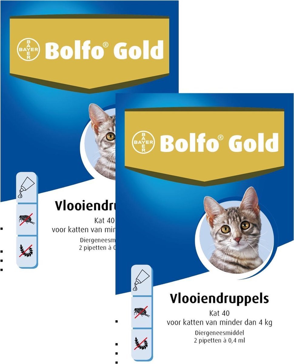 Bolfo Gold 40 vlooienmiddel-katten