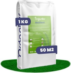 Organifer Herstelgazon Resilient graszaad