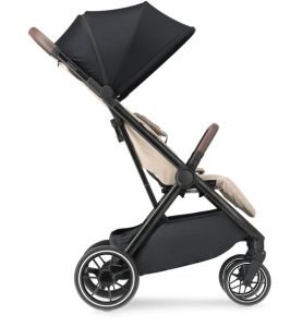 Deryan Rolo XL buggy
